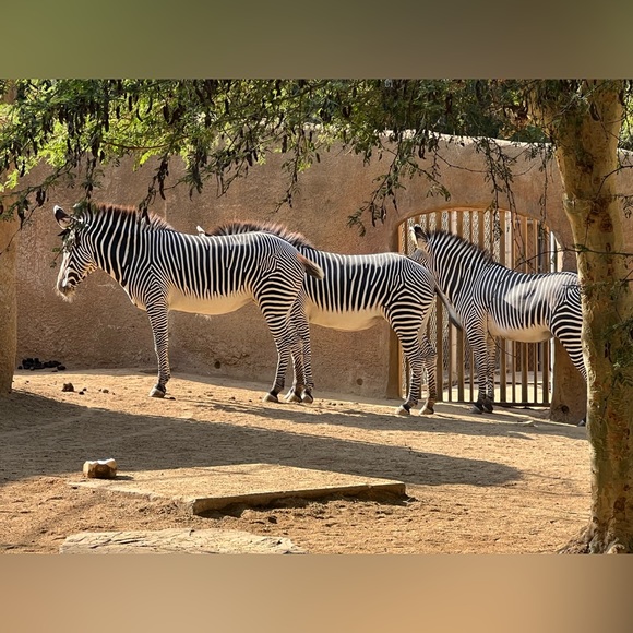 Meet your Posher - Picture 1 of 1